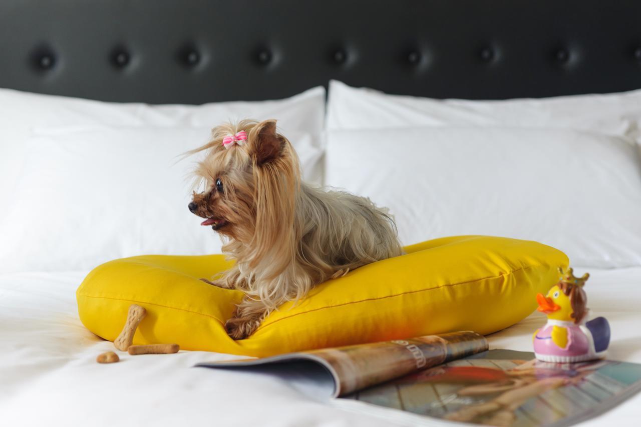 Nyx Tel Aviv Hotel Eksteriør billede